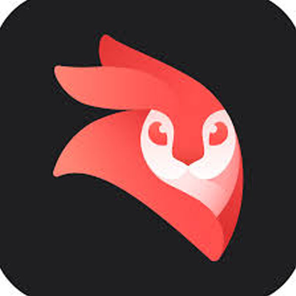 0_0006_Videoleap.jpg Videoleap - Image 1