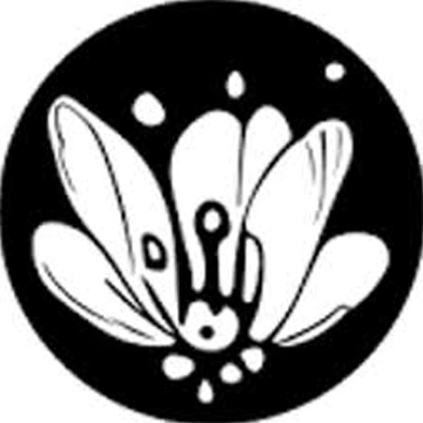 0_0017_Pollinations.jpg Pollinations - Image 1