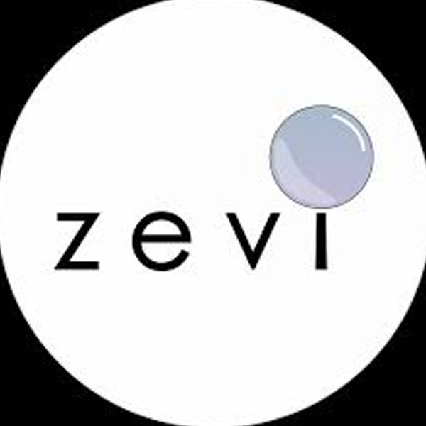 0_0027_Zevi.ai_-1.jpg Zevi.ai - Image 1
