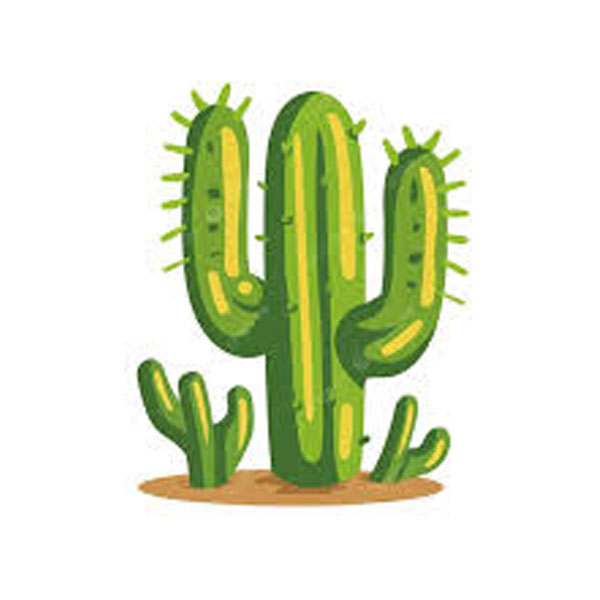 0_0036_Caktus.jpg Quizgecko - Image 1