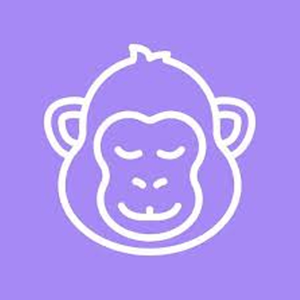 0_0079_CopyMonkey.jpg CopyMonkey - Image 1