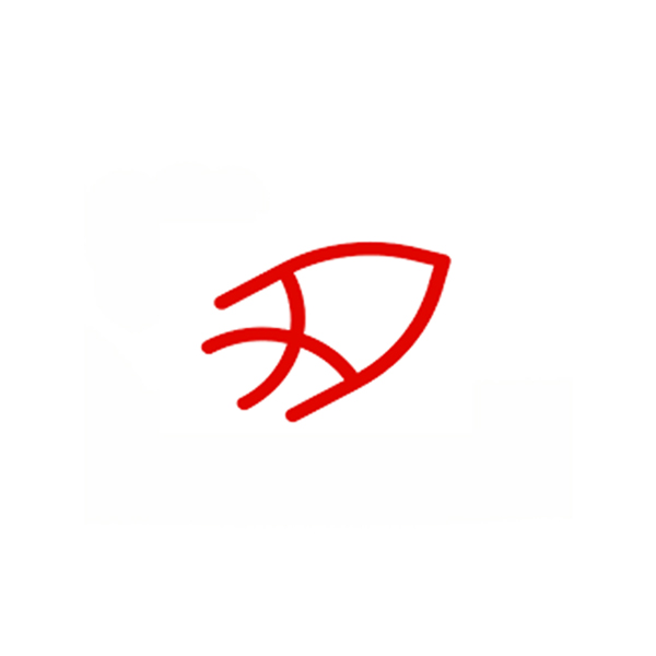 AI-Scientist-by-Sakana-2.jpg AI Scientist by Sakana - Image 1