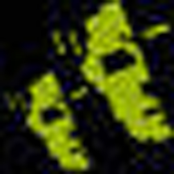 Artificial-Printer_0001_Layer-1.jpg Artificial Printer - Image 1