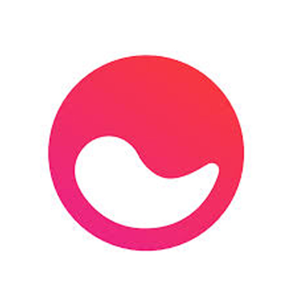 mem_0000_Layer-3.jpg Mem AI - Image 1